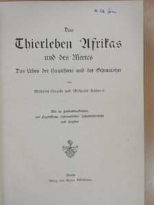 Wilhelm Haacke - Das Thierleben Afrikas und des Meeres III. (gótbetűs) (Dr. Entz Géza könyvtárából) [antikvár]