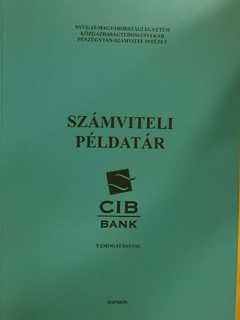 Juhászné Jakab Mária - Számviteli példatár [antikvár]