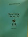 Juhászné Jakab Mária - Számviteli példatár [antikvár]
