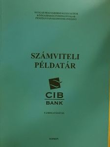 Juhászné Jakab Mária - Számviteli példatár [antikvár]