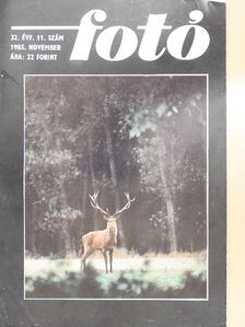 Balogh Ferenc - Fotó 1985. november [antikvár]