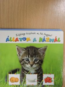 Fecske Csaba - Állatok a háznál [antikvár]