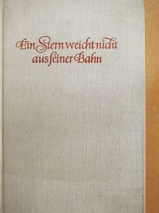 Gerhard W. Menzel - Ein Stern weicht nicht aus seiner Bahn [antikvár]