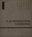 Rotter József - A proletárhatalom védelmében [antikvár]