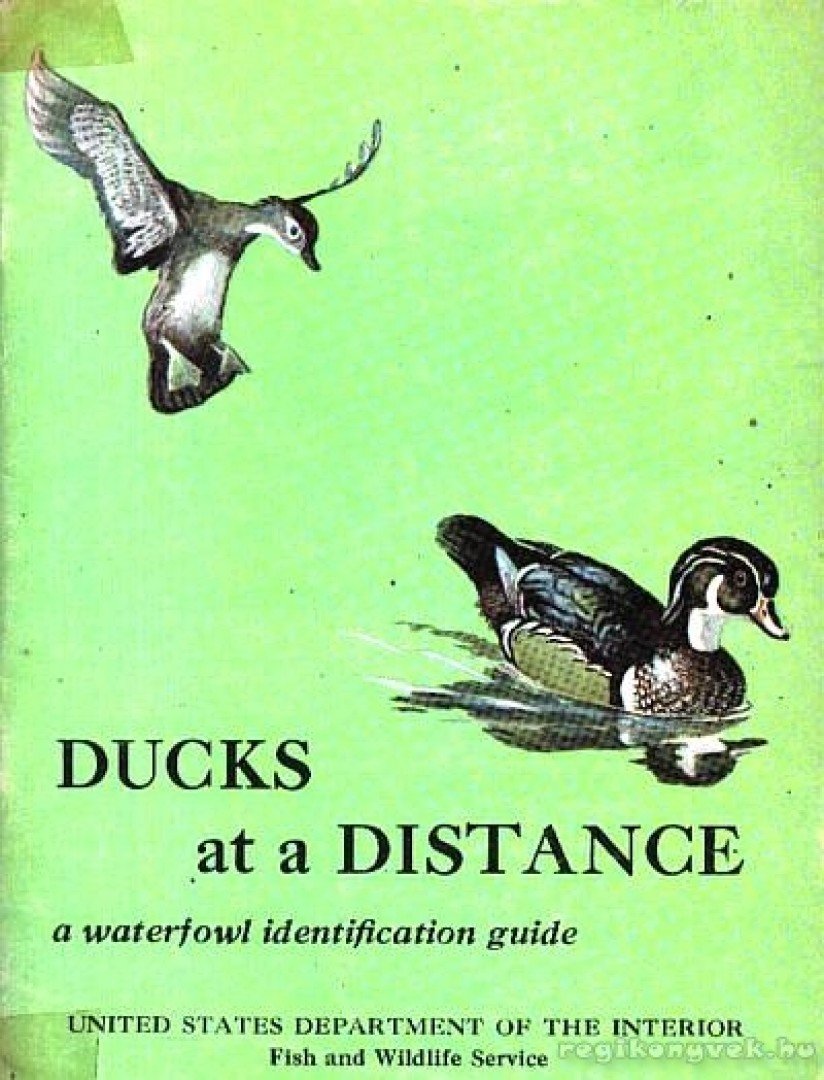 több szerző - Ducks at a Distance (USA) [antikvár]