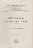 Dr. Gozmány László - Molylepkék VI.-Microlepidoptera VI. [antikvár]