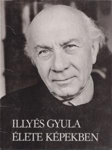 Illyés Gyuláné - Illyés Gyula élete képekben [antikvár]