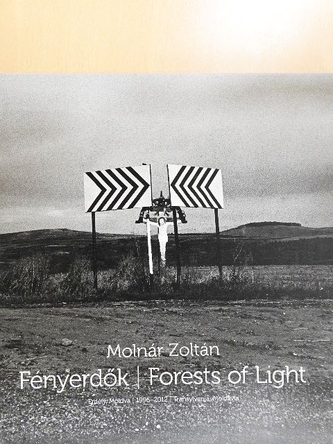 Palotai János - Fényerdők [antikvár]