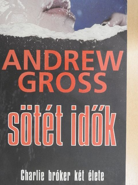 Andrew Gross - Sötét idők [antikvár]
