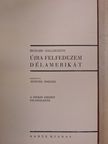 Richard Halliburton - Újra felfedezem Délamerikát [antikvár]