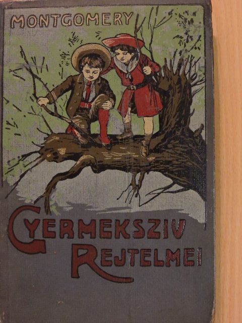 Montgomery Florence - Gyermekszív rejtelmei [antikvár]