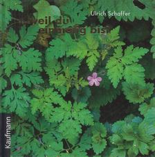 SCHAFFER, ULRICH - ...weil du einmalig bist [antikvár]