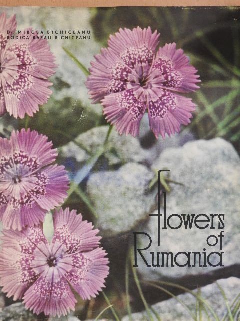 Dr. Mircea Bichiceanu - Flowers of Rumania [antikvár]