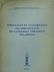 Dr. Frommer József - Vízellátás és csatornázás államigazgatási és gazdasági tervezési feladatai [antikvár]