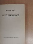 Rudnóy Teréz - Izzó kemence [antikvár]