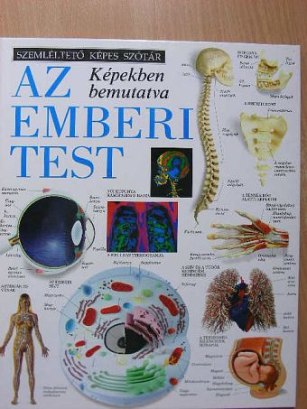 Az emberi test [antikvár]
