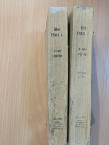Báró Eötvös József - A falu jegyzője I-II. [antikvár]