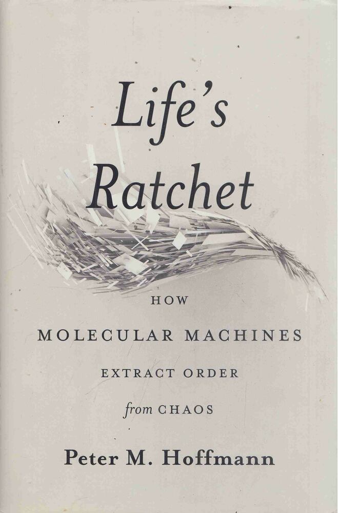 Peter M. Hoffmann - Life's Ratchet [antikvár]