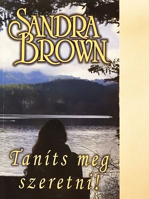 Sandra Brown - Taníts meg szeretni! [antikvár]