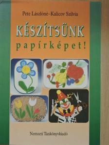 Kalicov Szilvia - Készítsünk papírképet! [antikvár]