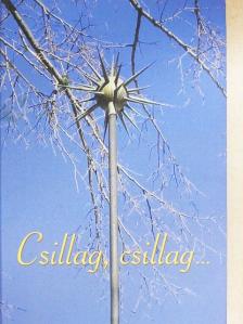 Csillag, csillag... [antikvár]