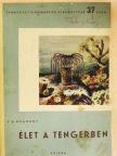 V. G. Bogorov - Élet a tengerben [antikvár]