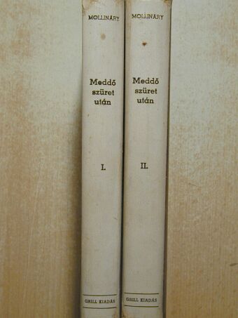 Mollináry Gizella - Meddő szüret után... I-II. [antikvár]