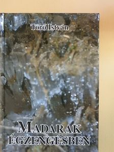 Törő István - Madarak égzengésben [antikvár]