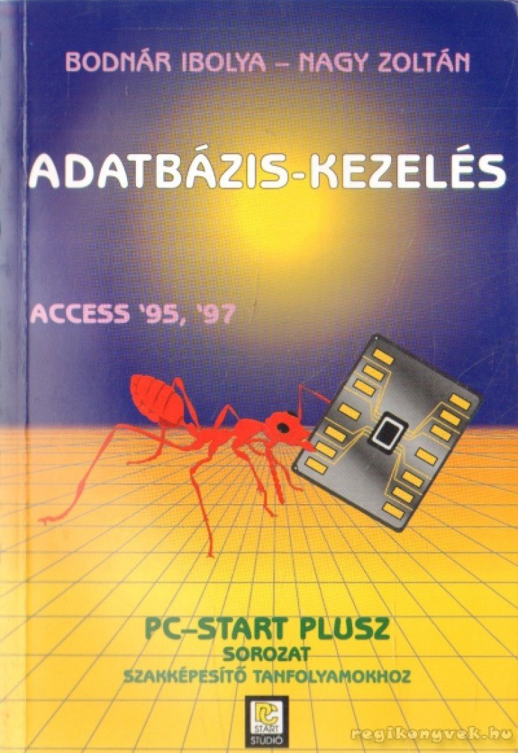 Nagy Zoltán, Bodnár Ibolya - Adatbázis-kezelés [antikvár]