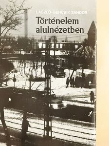 László-Bencsik Sándor - Történelem alulnézetben [antikvár]