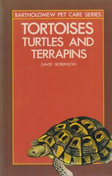 David Robinson - Tortoises [antikvár]