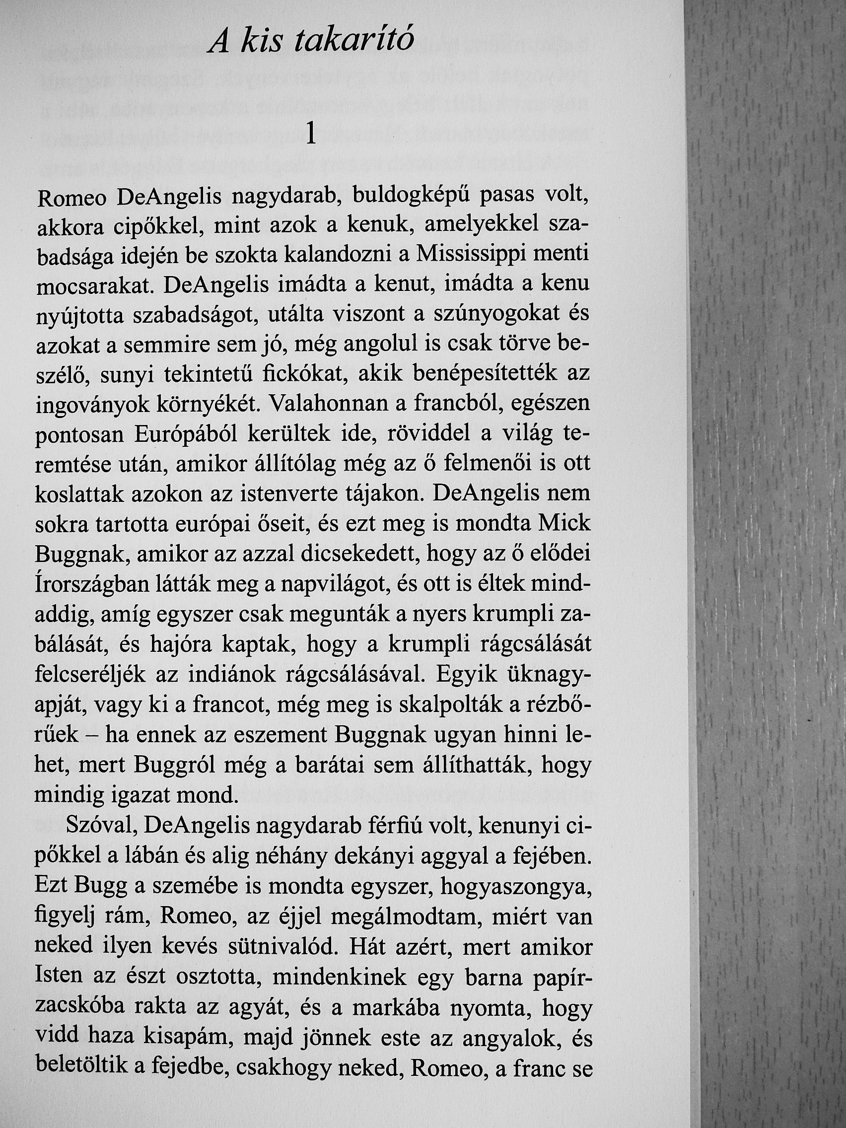 Lőrincz L. László - A kicsik nyomában I-II. [antikvár]