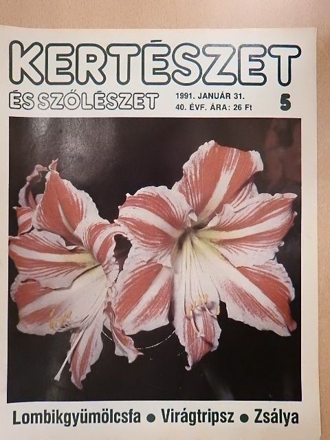 Kovács László - Kertészet és Szőlészet 1991. január 31. [antikvár]