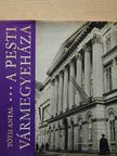 Tóth Antal - A Pesti Vármegyeháza [antikvár]