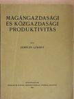 Zemplén Lóránt - Magángazdasági és közgazdasági produktivitás [antikvár]