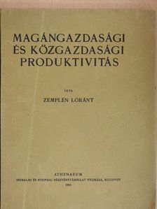 Zemplén Lóránt - Magángazdasági és közgazdasági produktivitás [antikvár]