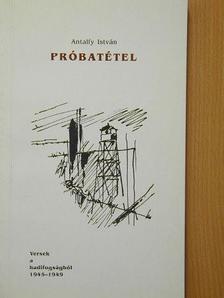 Antalfy István - Próbatétel [antikvár]
