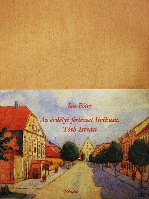 Sas Péter - Az erdélyi festészet lírikusa, Tóth István [antikvár]