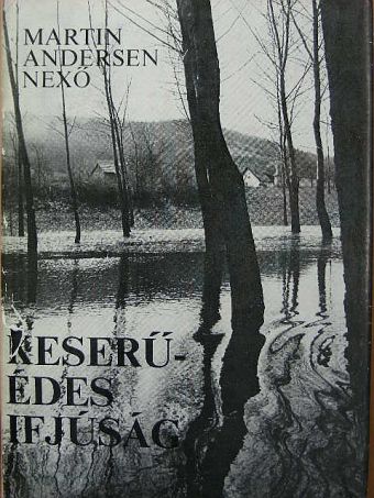 Martin Andersen Nexö - Keserű-édes ifjúság [antikvár]