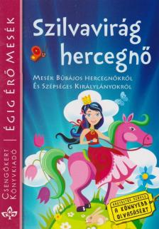 Szántai Zsolt - Szilvavirág hercegnő [antikvár]