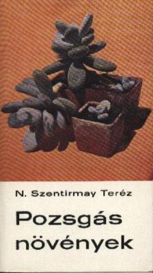 N. Szentirmay Teréz - Pozsgás növények [antikvár]