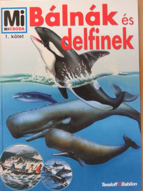 Petra Deimer - Bálnák és delfinek [antikvár]