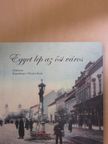Gazdag István - Egyet lép az ősi város [antikvár]