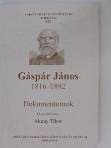 Ballagi Mór - Gáspár János 1816-1892 [antikvár]