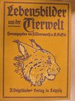 Else Soffel - Lebensbilder aus der Tierwelt I. (gótbetűs) [antikvár]