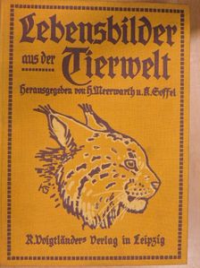 Else Soffel - Lebensbilder aus der Tierwelt I. (gótbetűs) [antikvár]