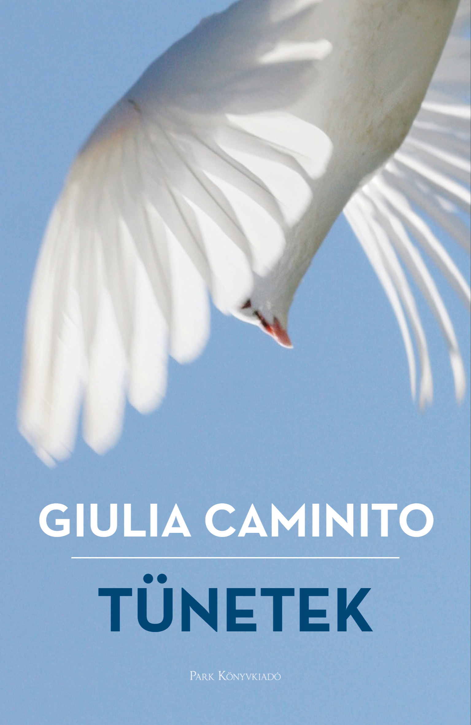 Giulia Caminito - Tünetek [eKönyv: epub, mobi]
