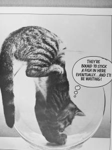 Cat Chat [antikvár]