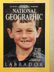 Richard MacKenzie - National Geographic October 1993 [antikvár]
