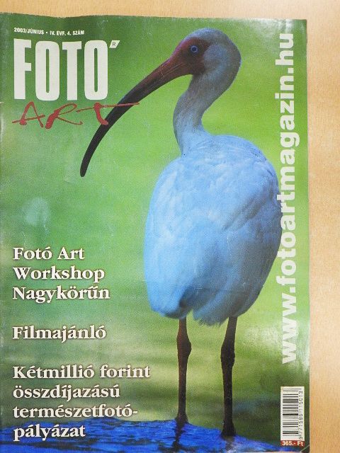 Fotó Art 2003. június [antikvár]